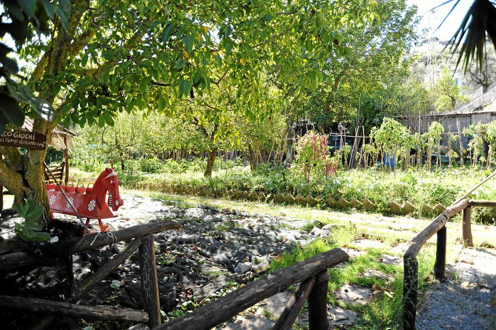 Oasi Madre Della Pace Bed & Breakfast